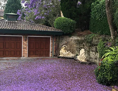 Fertilisation Sydney