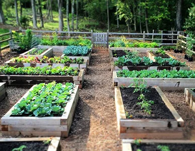 Garden Beds Sydney