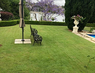 Garden Restoration & Maintenance Sydney