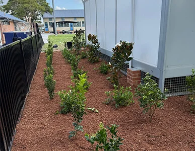 Tree Planting Sydney